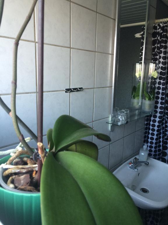 Hotel Рибе Экстерьер фото